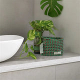 TLBAS-0087/Kitchen/Bathroom kit