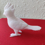 TL3D-0011/Cockatiel bird,decor