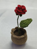 TL-Rose Desk Pot