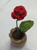 TL-Rose Desk Pot