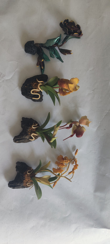 TLFM-001-Fridge Magnets-Plants