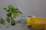 TLBAS-0074 / Tissue Paper Holder