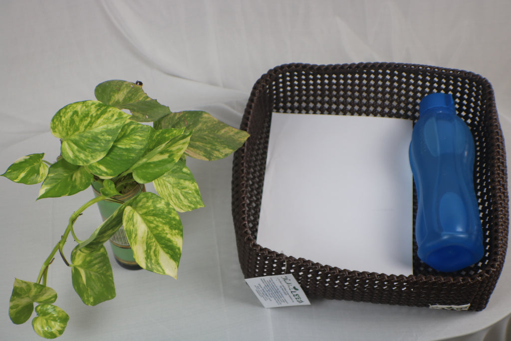 TLBAS-0042a/Organizer trays
