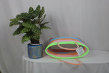 TLBAS-0035/Rings or Rainbow basket