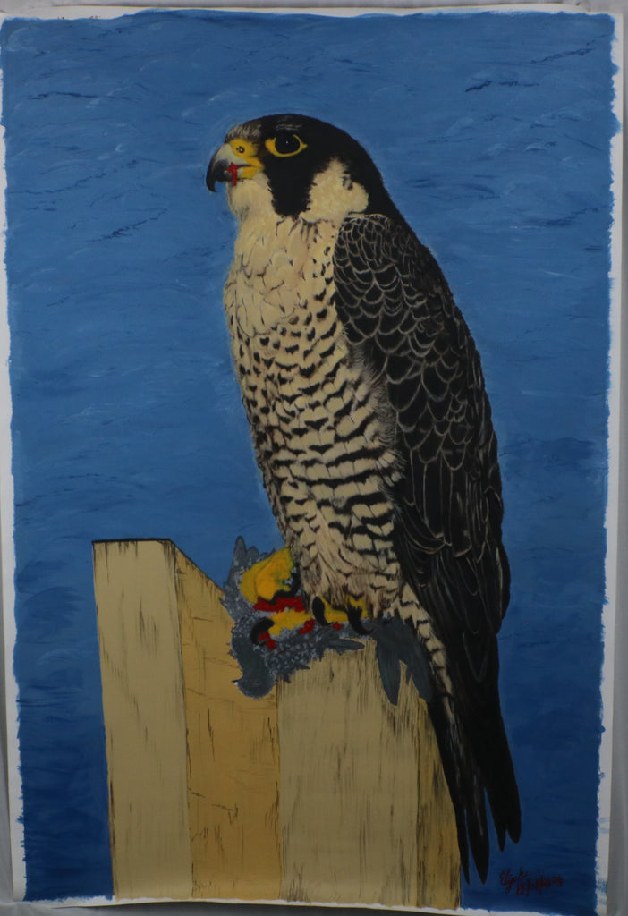 TLELI-002/ACRYLIC ON CANVAS-Peregrine Falcon TVH Aura