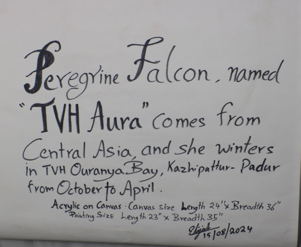 TLELI-002/ACRYLIC ON CANVAS-Peregrine Falcon TVH Aura