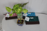 TLCB-0042c/Chic Purse /Party Clutch purse