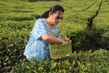 TLBAS-0040/Cross-Check Biscuit Basket
