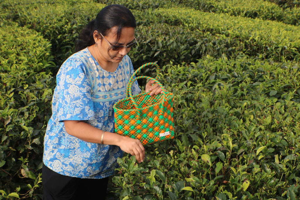 TLBAS-0040/Cross-Check Biscuit Basket