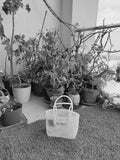 TLBAS-0036/Transparent Basket in White-Pearl - Thalir Leed®