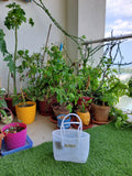 TLBAS-0036/Transparent Basket in White-Pearl - Thalir Leed®