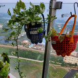 TLBAS-0079 / Pot Baskets - Thalir Leed®