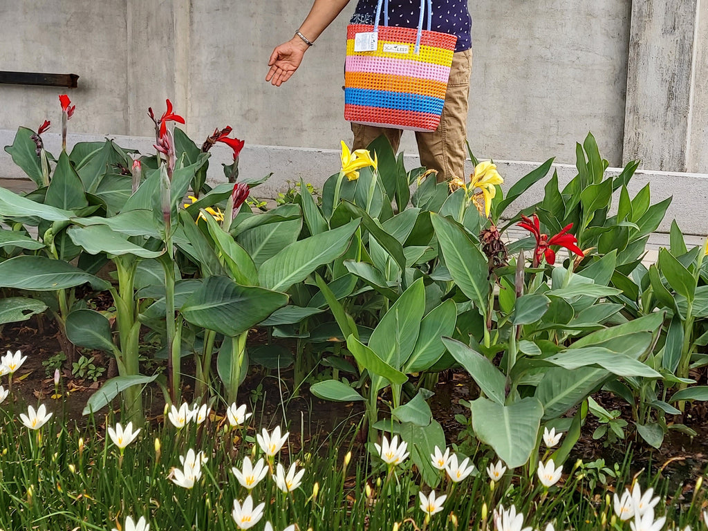 TLBAS-0035/Colour Rings Basket - Thalir Leed®