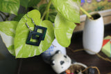TLRJ-002/ combo Earrings - Thalir Leed®