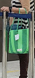 TLBAS-0048/Broad Stripes Basket