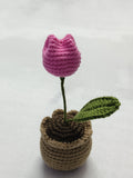 TL- Tulip Desk Pot