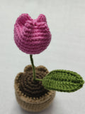 TL- Tulip Desk Pot