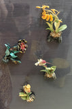 TLFM-008b-Fridge Magnets-water world-Shells