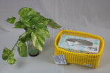 TLBAS-0074 / Tissue Paper Holder