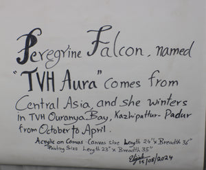 TLELI-002/ACRYLIC ON CANVAS-Peregrine Falcon TVH Aura