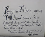 TLELI-002/ACRYLIC ON CANVAS-Peregrine Falcon TVH Aura