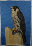 TLELI-002/ACRYLIC ON CANVAS-Peregrine Falcon TVH Aura