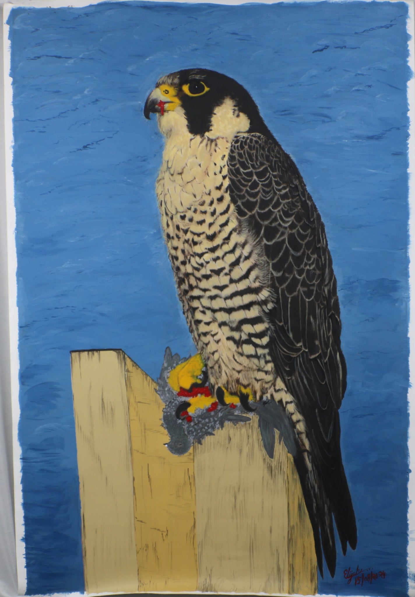 TLELI-002/ACRYLIC ON CANVAS-Peregrine Falcon TVH Aura