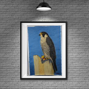 TLELI-002/ACRYLIC ON CANVAS-Peregrine Falcon TVH Aura