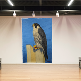 TLELI-002/ACRYLIC ON CANVAS-Peregrine Falcon TVH Aura