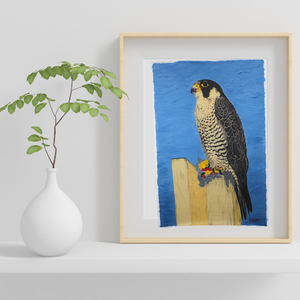 TLELI-002/ACRYLIC ON CANVAS-Peregrine Falcon TVH Aura