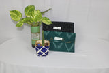 TLCB-0066/Clutch bag/Ikkat/Mix design Purse