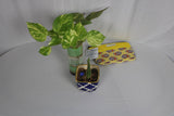TLCBK-0063/Gift Pouches Made of Silk & Cotton