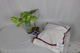TLCBK-0077/Transparent compartment bag