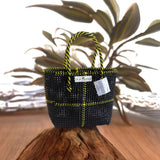 TLBAS-0032/Crossed Basket