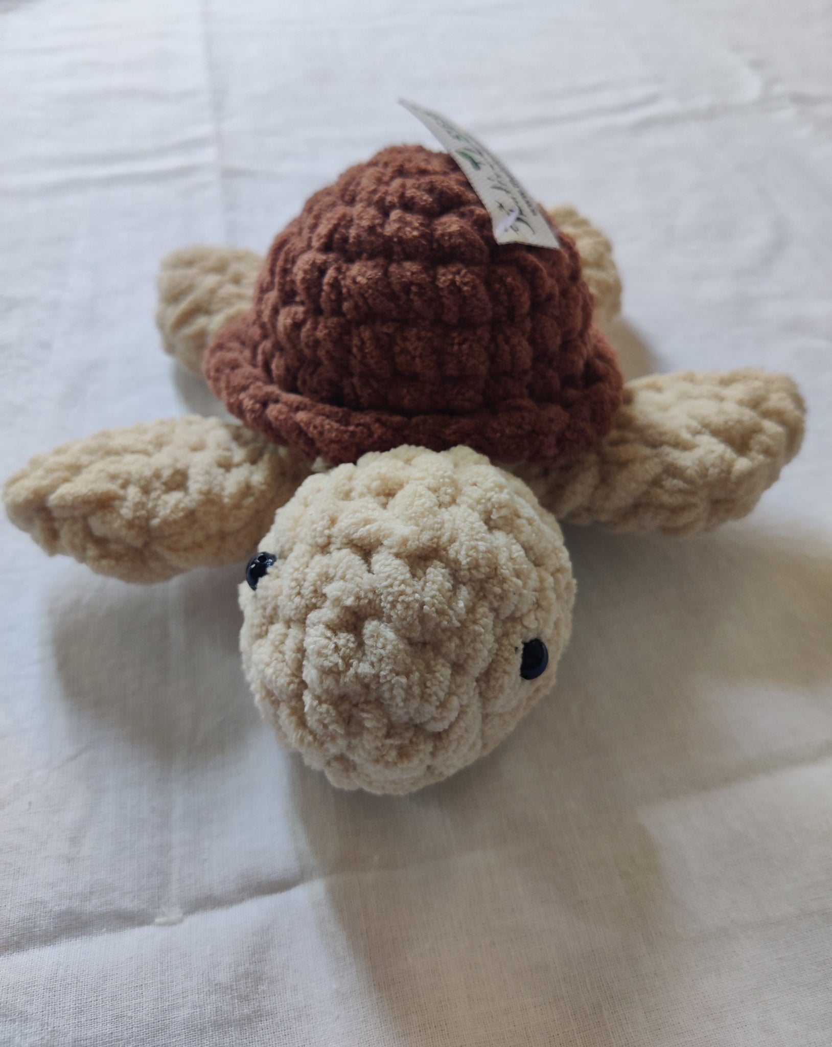 TLCPS-002/ Turtle