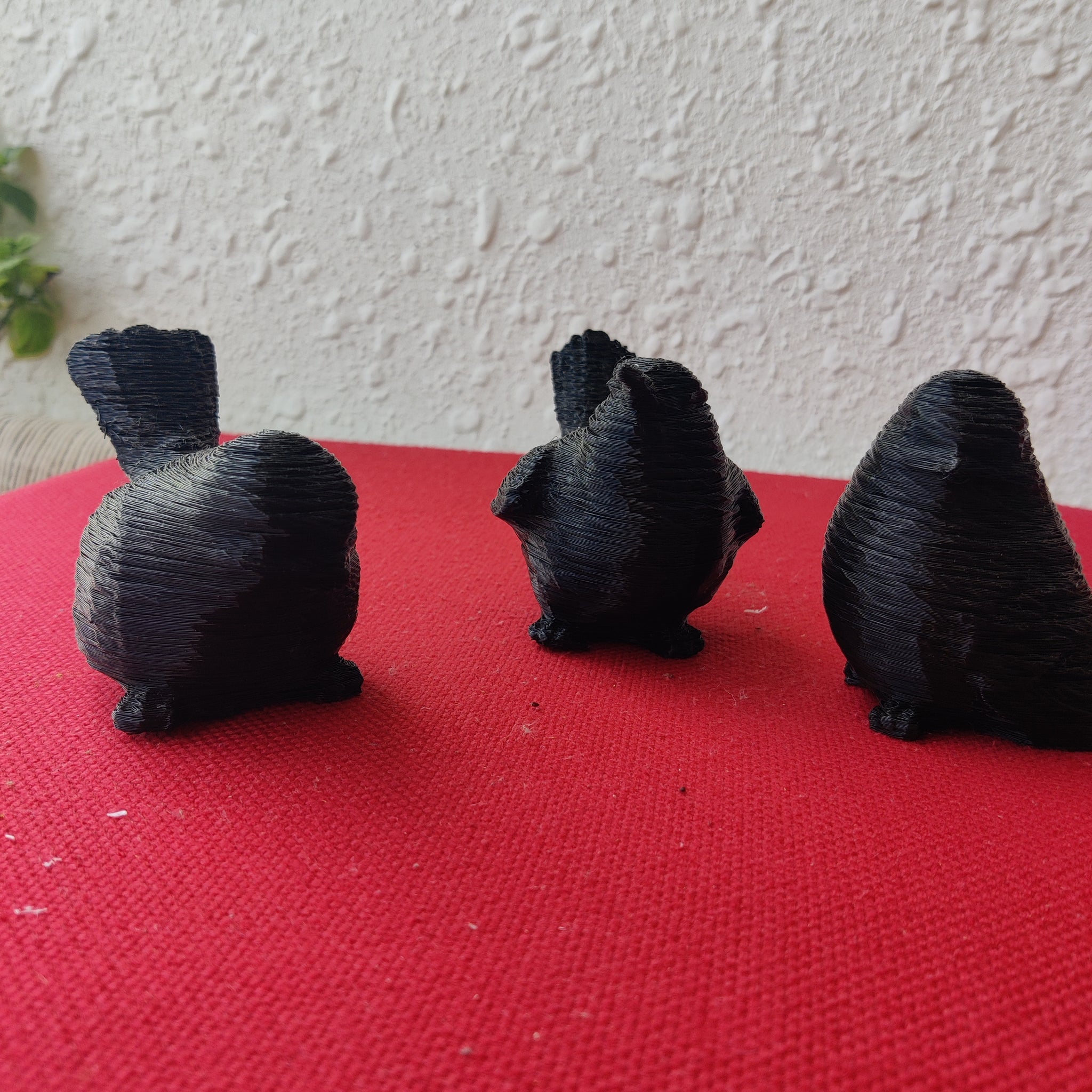 TL3D-005/Babbler Birdie, Decor
