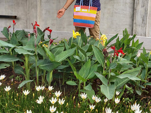 TLBAS-0035/Colour Rings Basket - Thalir Leed®