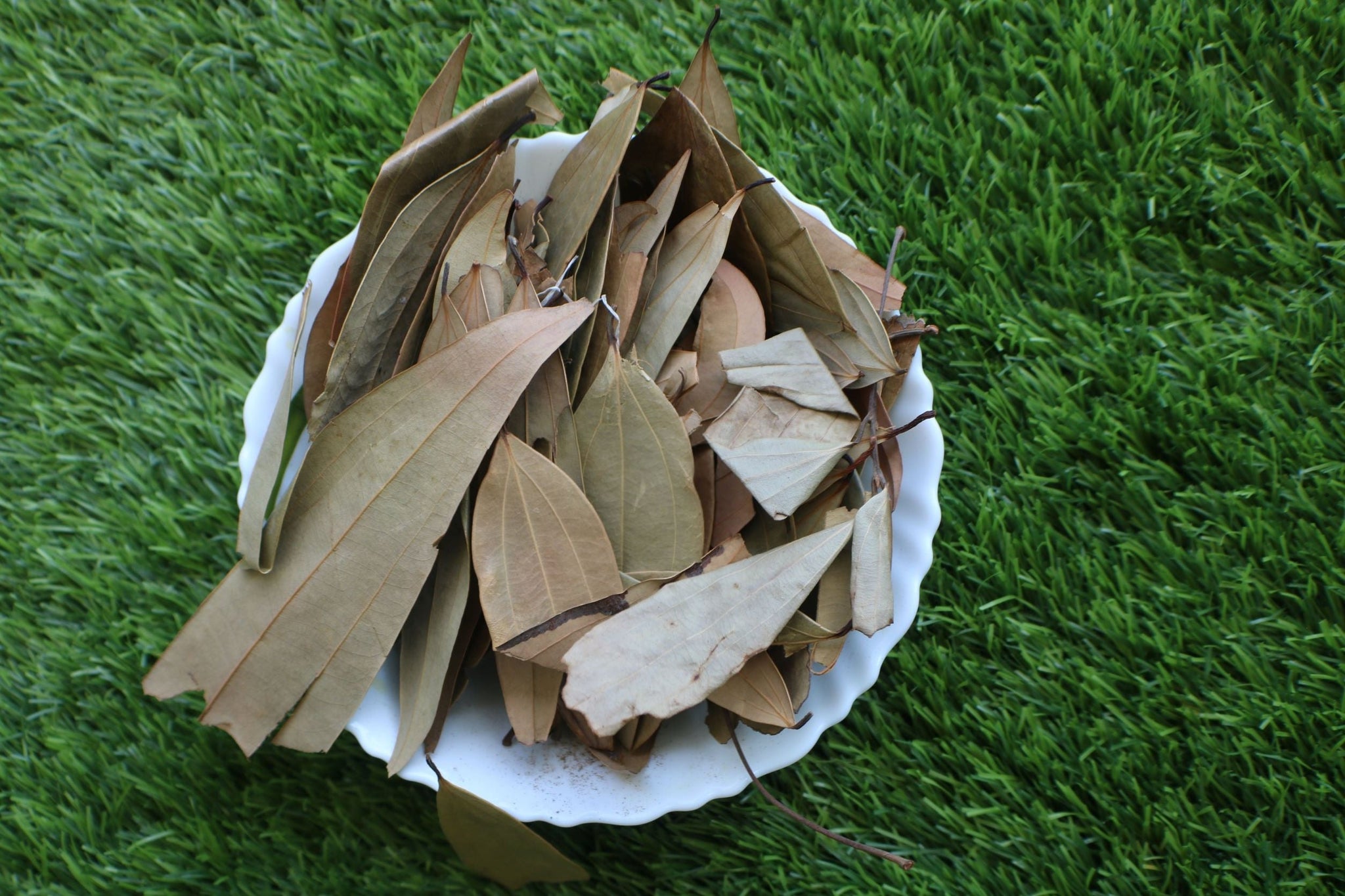 TLBL0010- Bay leaves - Thalir Leed®