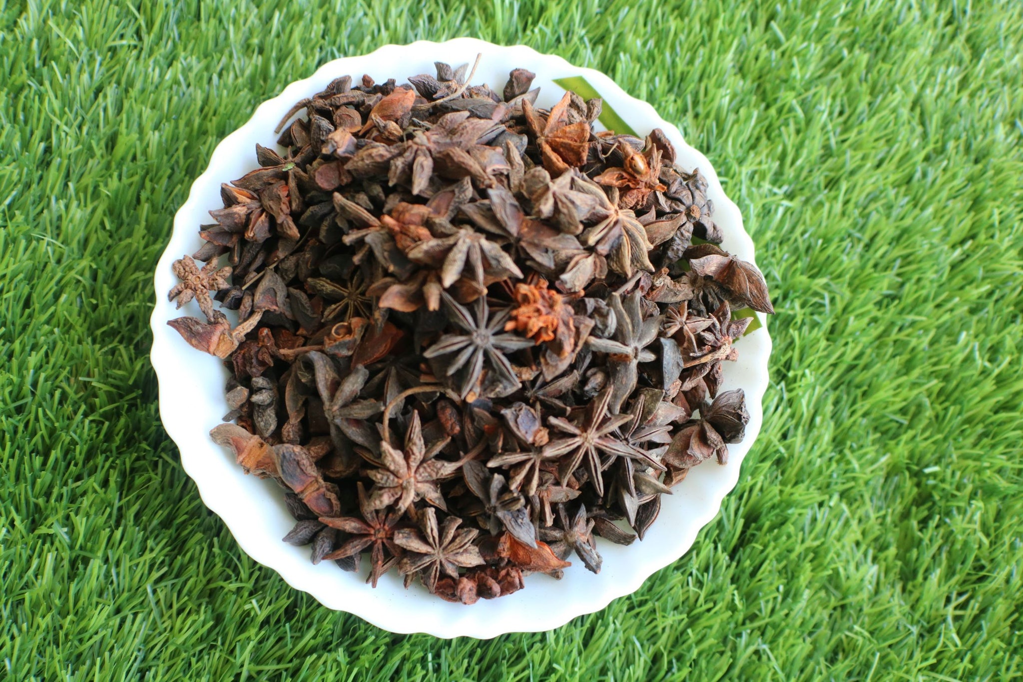 TLSA-005-Star Anise - Thalir Leed®