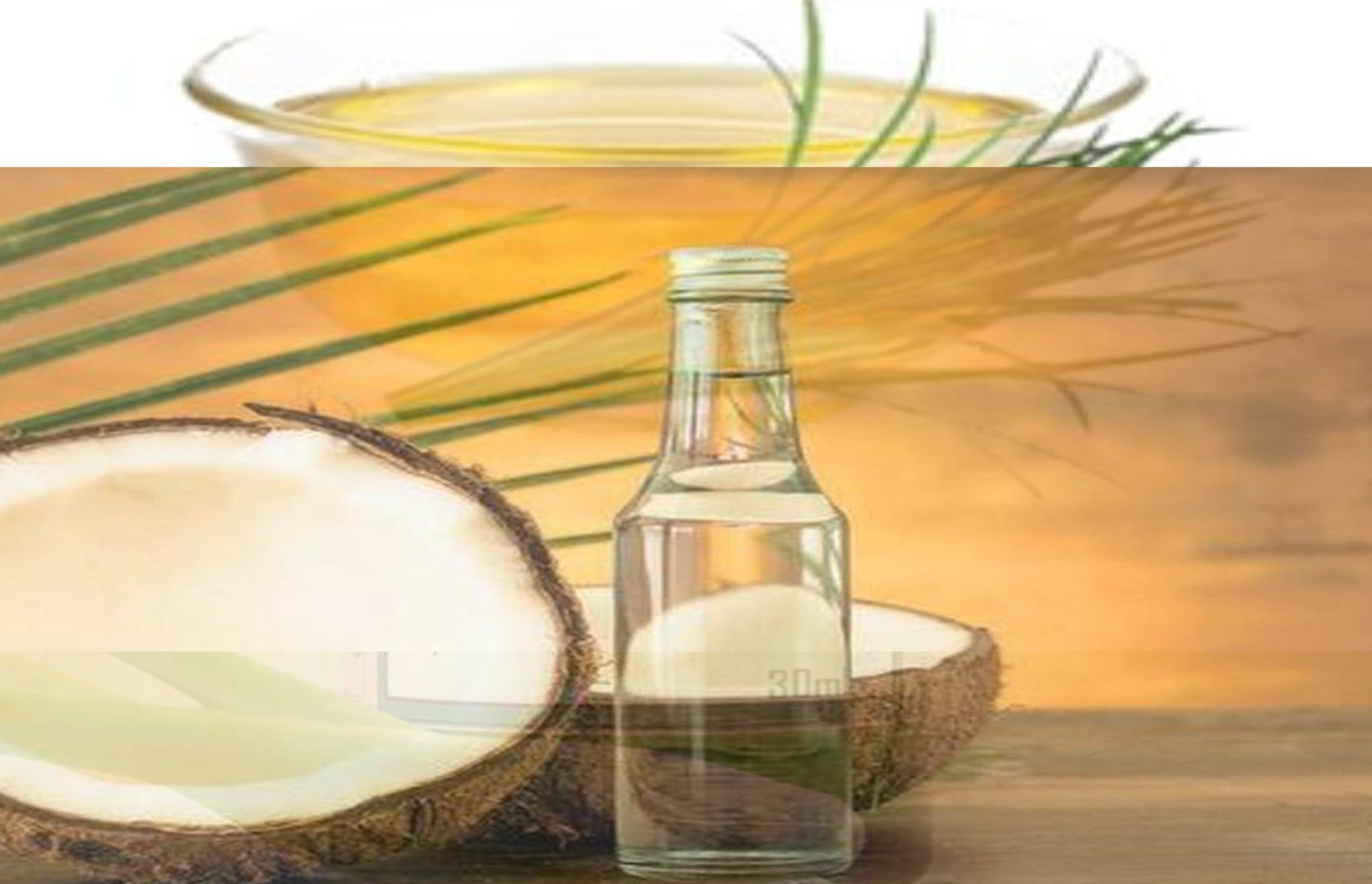TLCO-001- Coconut oil - Thalir Leed®