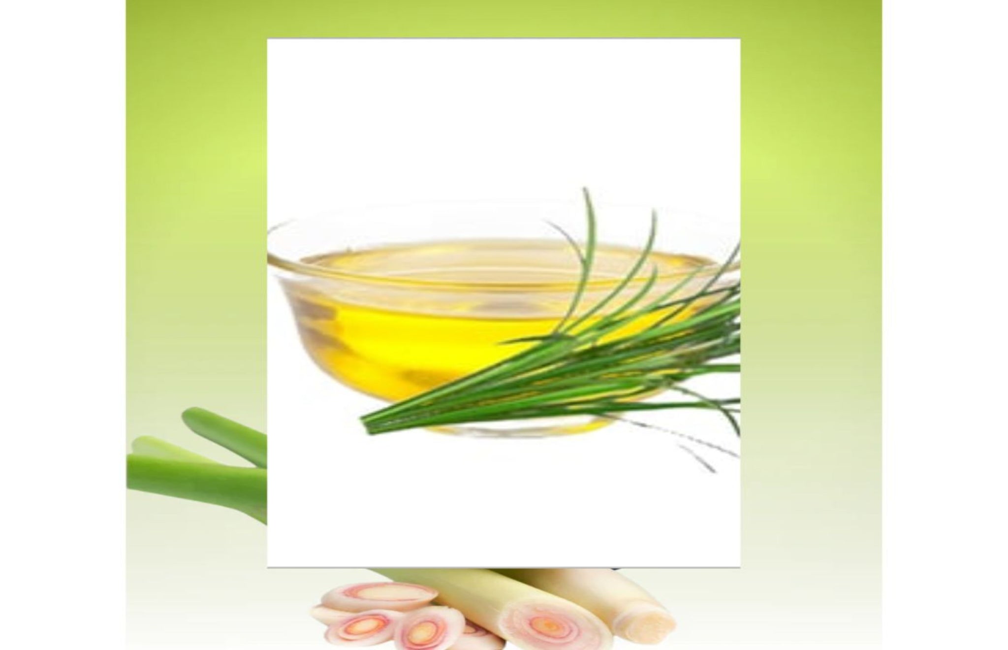 TLLGO-002- Lemon Grass Oil - Thalir Leed®