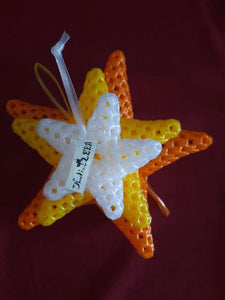 TLBAS-0069/Thalir-LEED Stars-L, M, S, Dual, & flat - Thalir Leed®